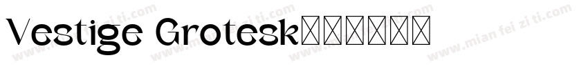 Vestige Grotesk字体转换